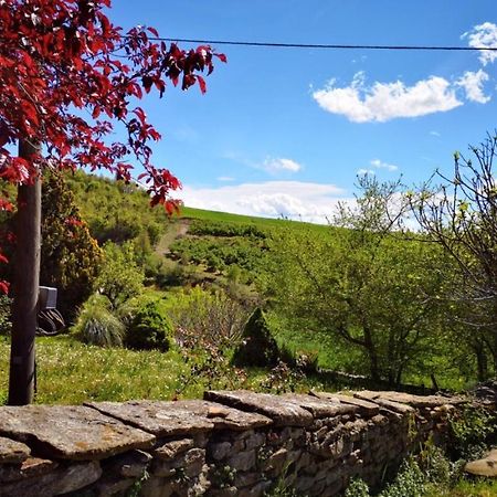 Agriturismo Locanda Dei Cacciatori โดลญานี ภายนอก รูปภาพ