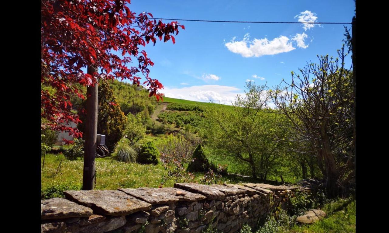 Agriturismo Locanda Dei Cacciatori โดลญานี ภายนอก รูปภาพ